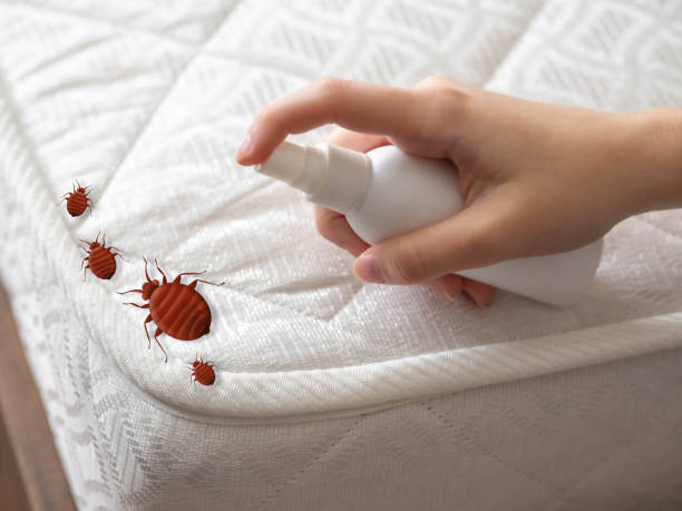 Best Pest Exclusion Services  in Sitka, AK